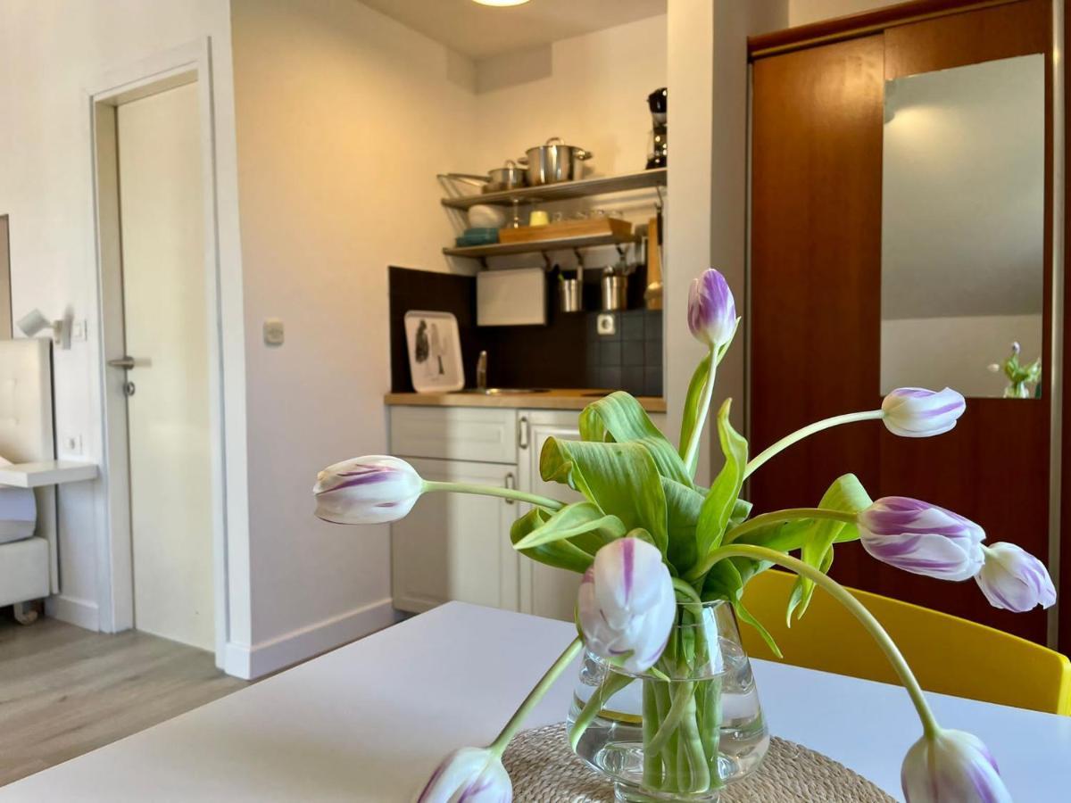 קאבטאט Apartments Carol מראה חיצוני תמונה